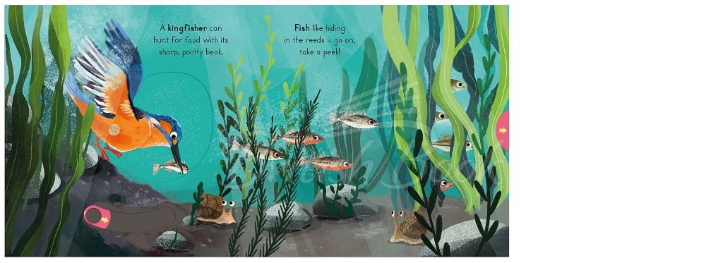 Книга Big Outdoors for Little Explorers: River зображення 5