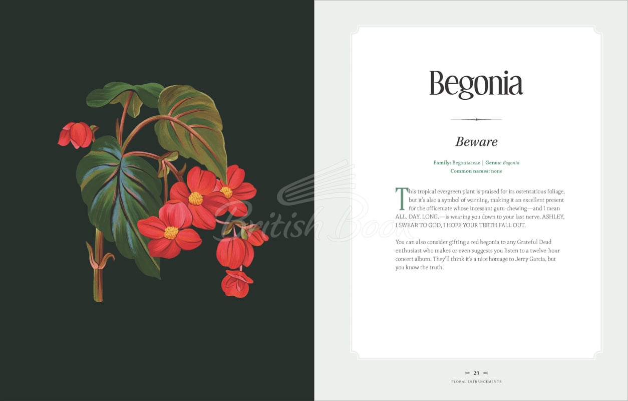 Книга Floral Estrangements:Taunt Your Rivals & Vanquish Your Enemies through the Language of Flowers зображення 11