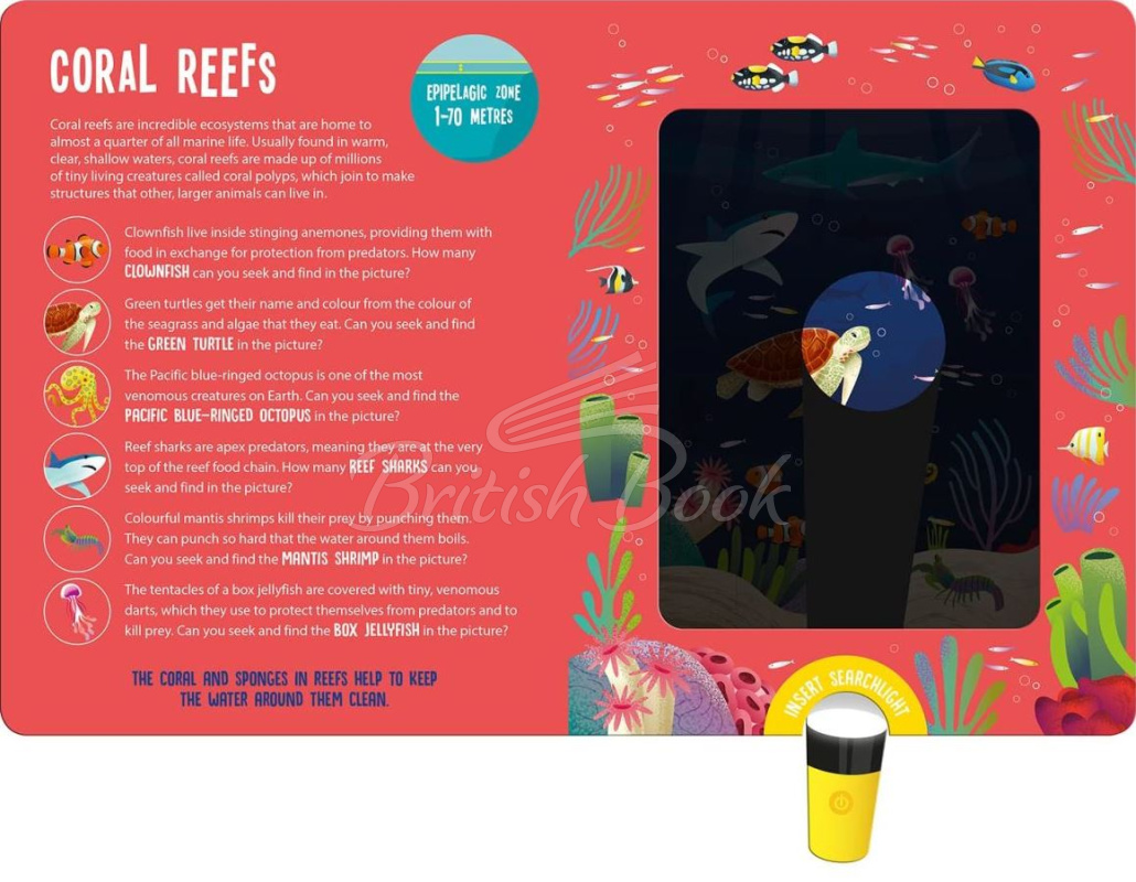 Книга Seek and Find Searchlight: Ocean Animals зображення 5