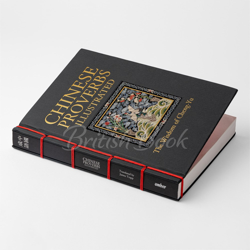Книга Chinese Proverbs Illustrated зображення 2