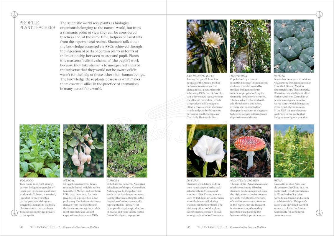 Книга Shamans: The Visual Culture of Animism, Healing and Journeys to Other Planes изображение 8