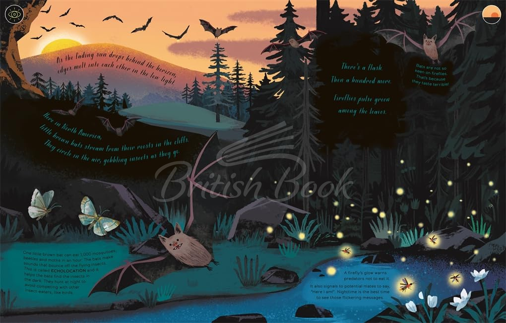 Книга Day and Night (with Glow-in-the-Dark pages) зображення 3