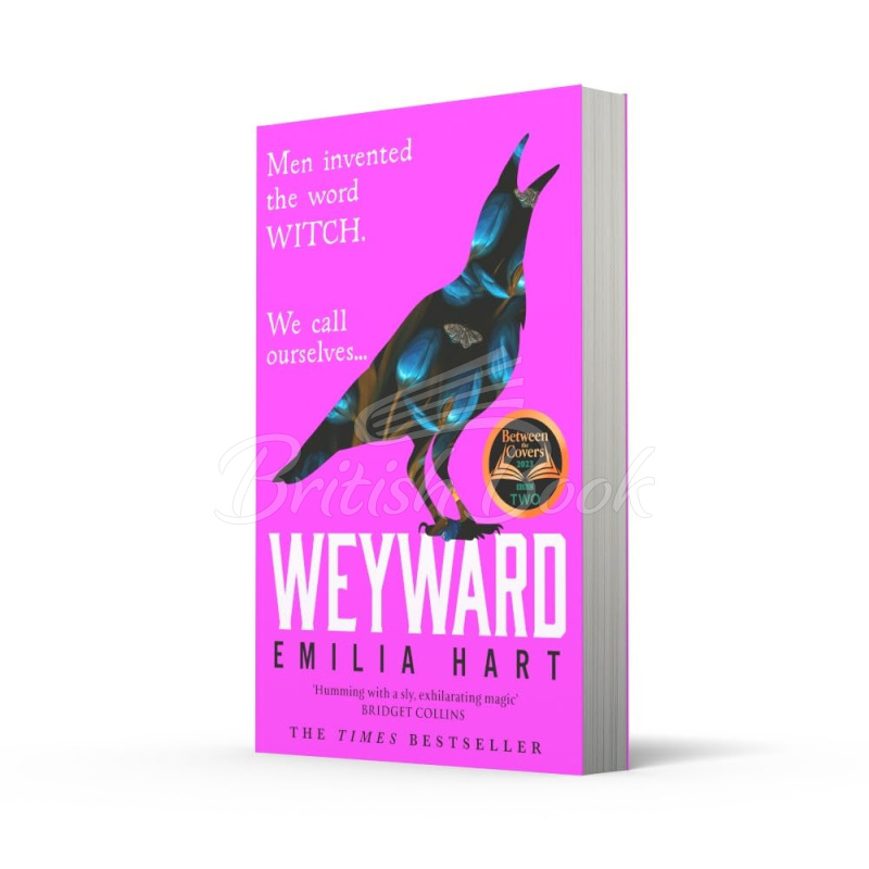 Книга Weyward изображение 4