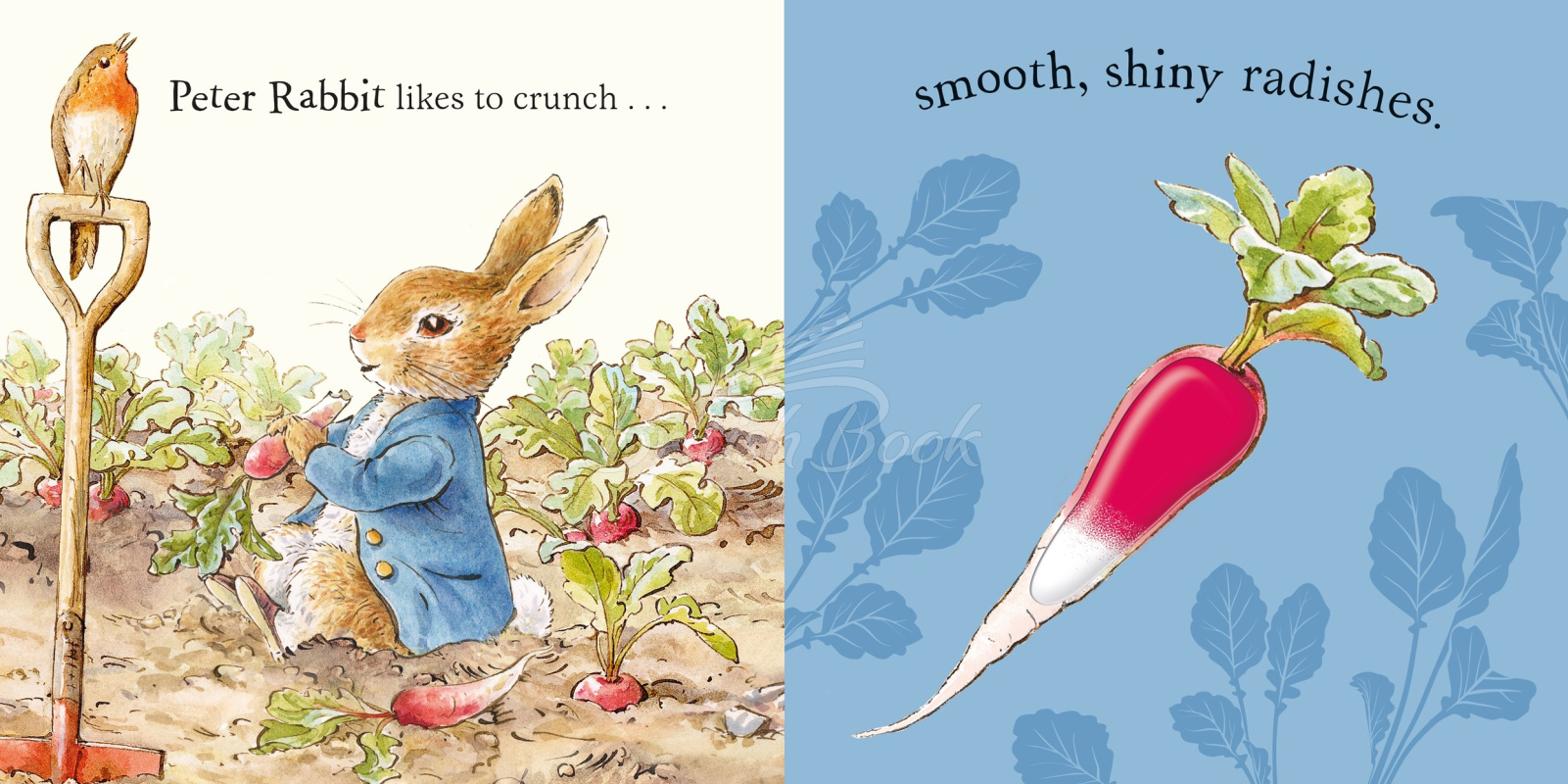 Книга Peter Rabbit: Forest Feast изображение 1