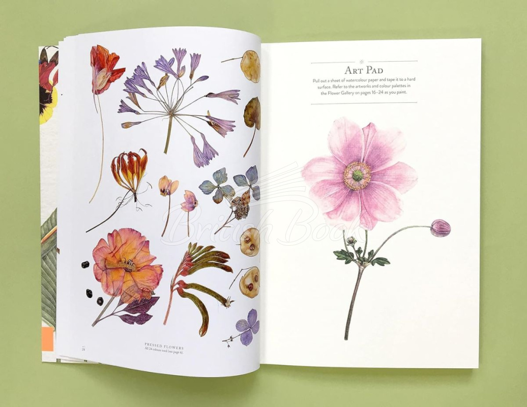 Книга RHS Flowers: The Watercolour Art Pad зображення 3