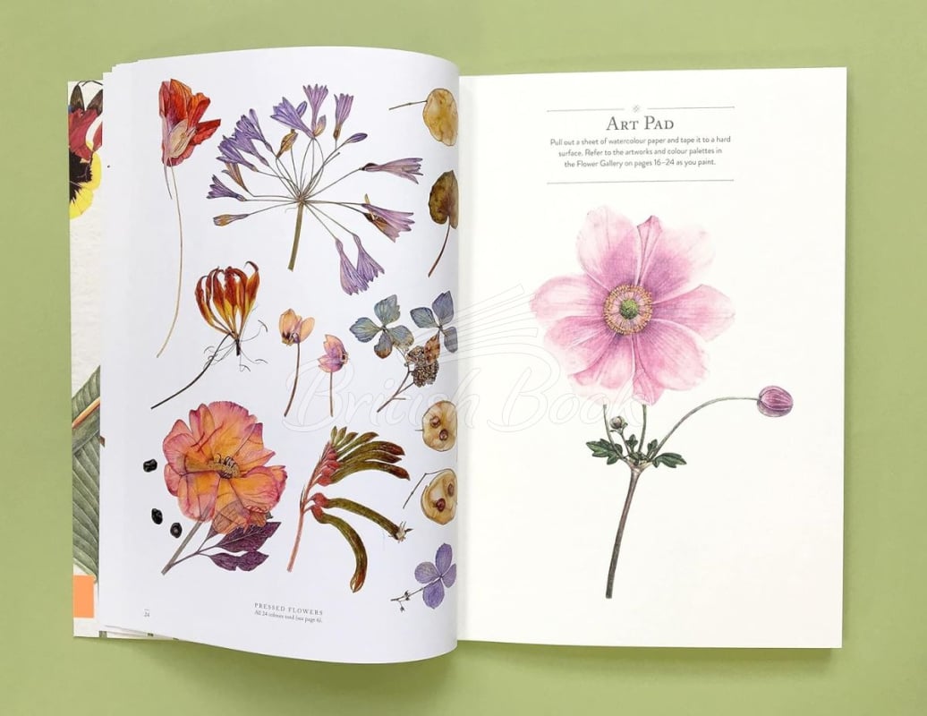 Книга RHS Flowers: The Watercolour Art Pad изображение 3