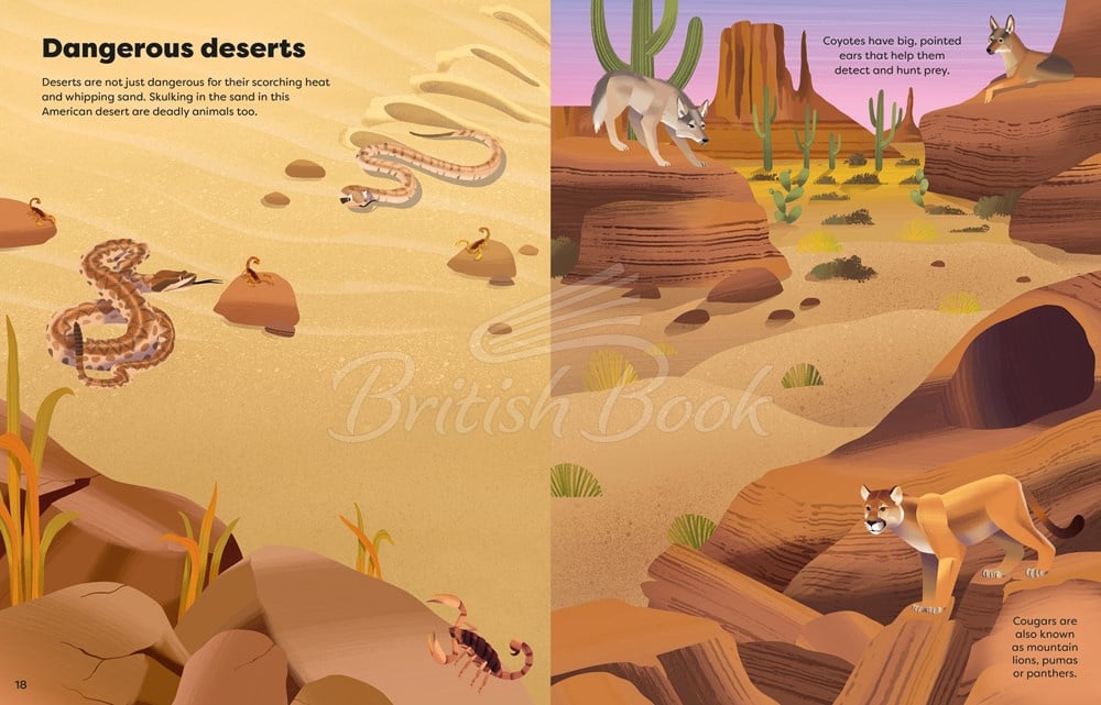 Книга Big Sticker Book Deadly Animals изображение 4