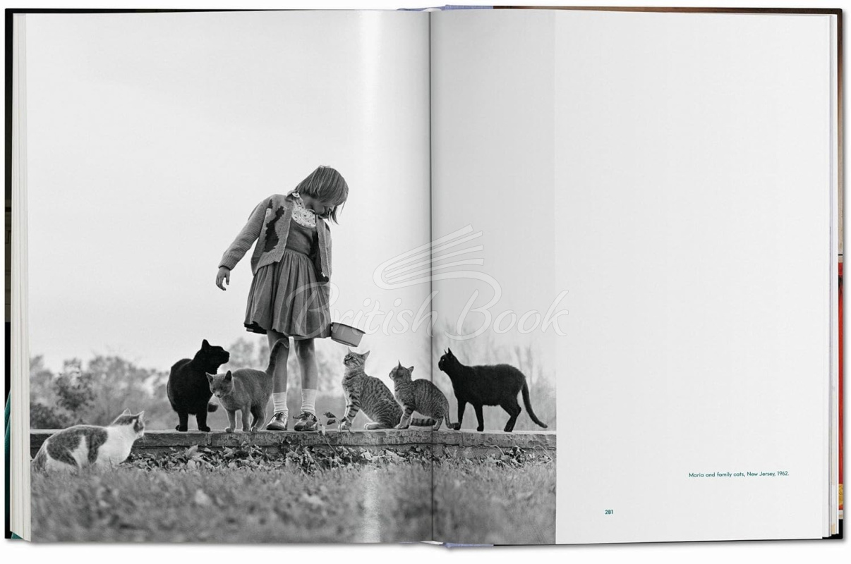 Книга Walter Chandoha. Cats. Photographs 1942–2018 зображення 16