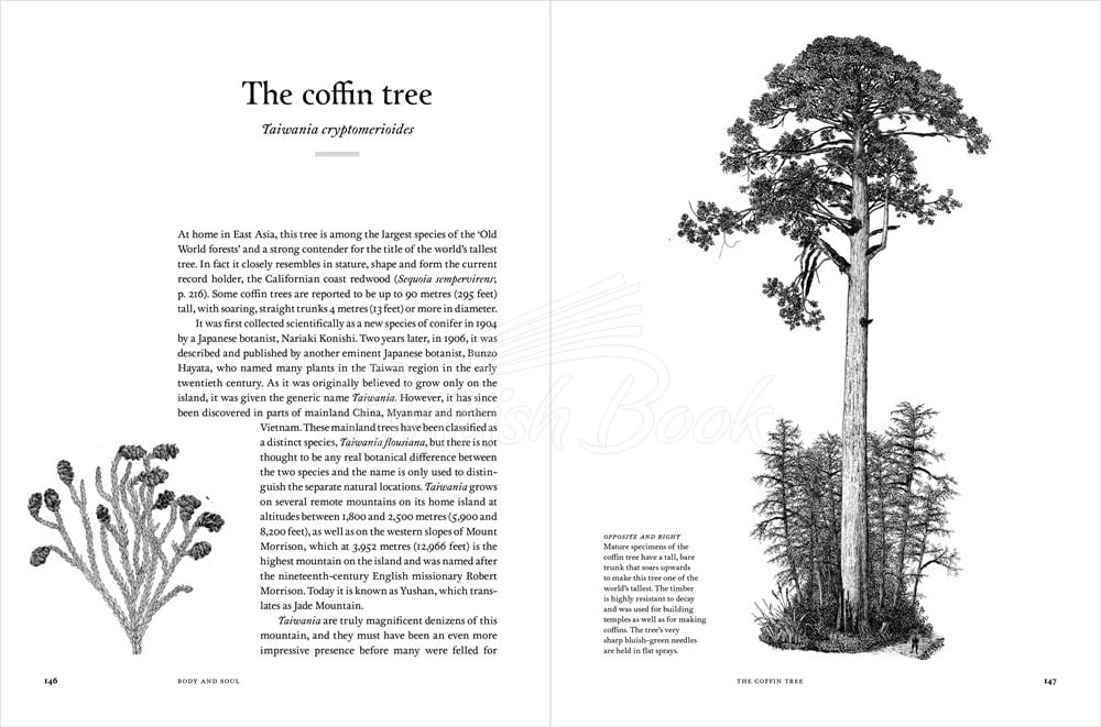Книга Remarkable Trees изображение 12