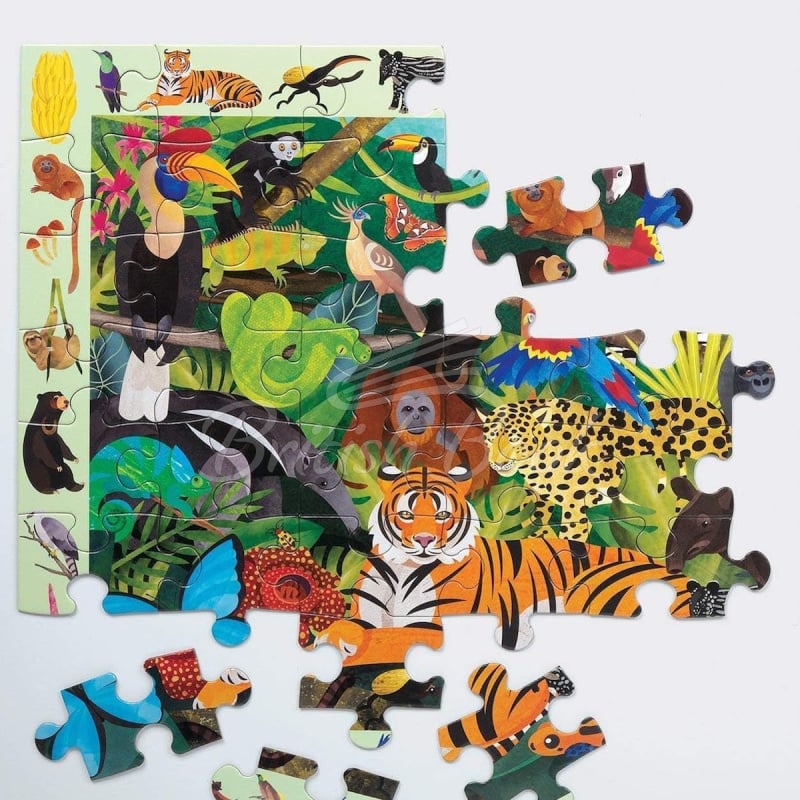 Пазл Rainforest Search and Find Puzzle изображение 1