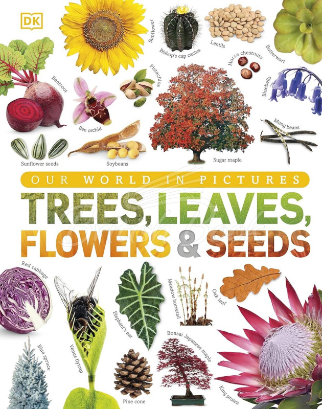 Книга Our World in Pictures: Trees, Leaves, Flowers and Seeds зображення