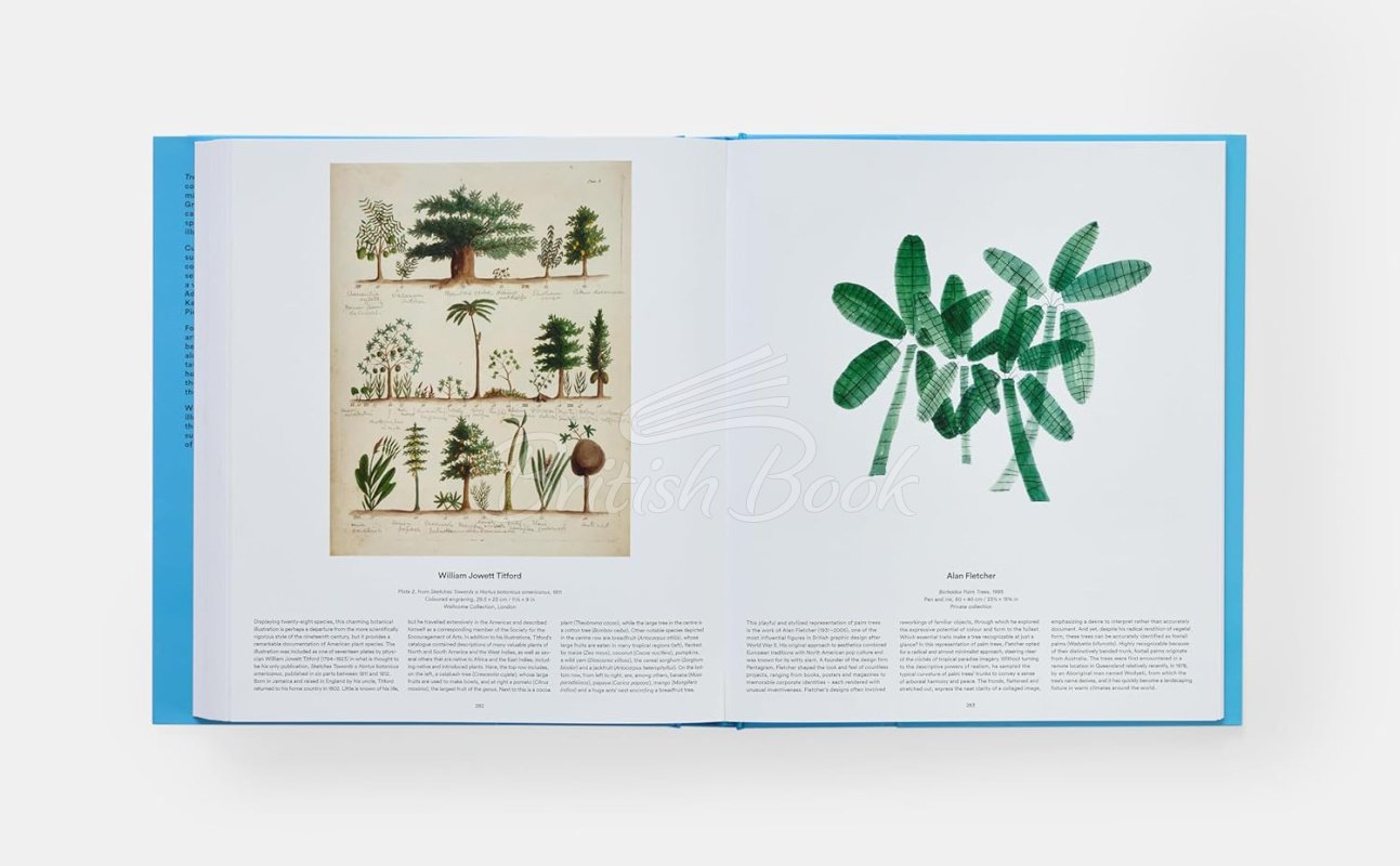 Книга Tree: Exploring the Arboreal World зображення 12