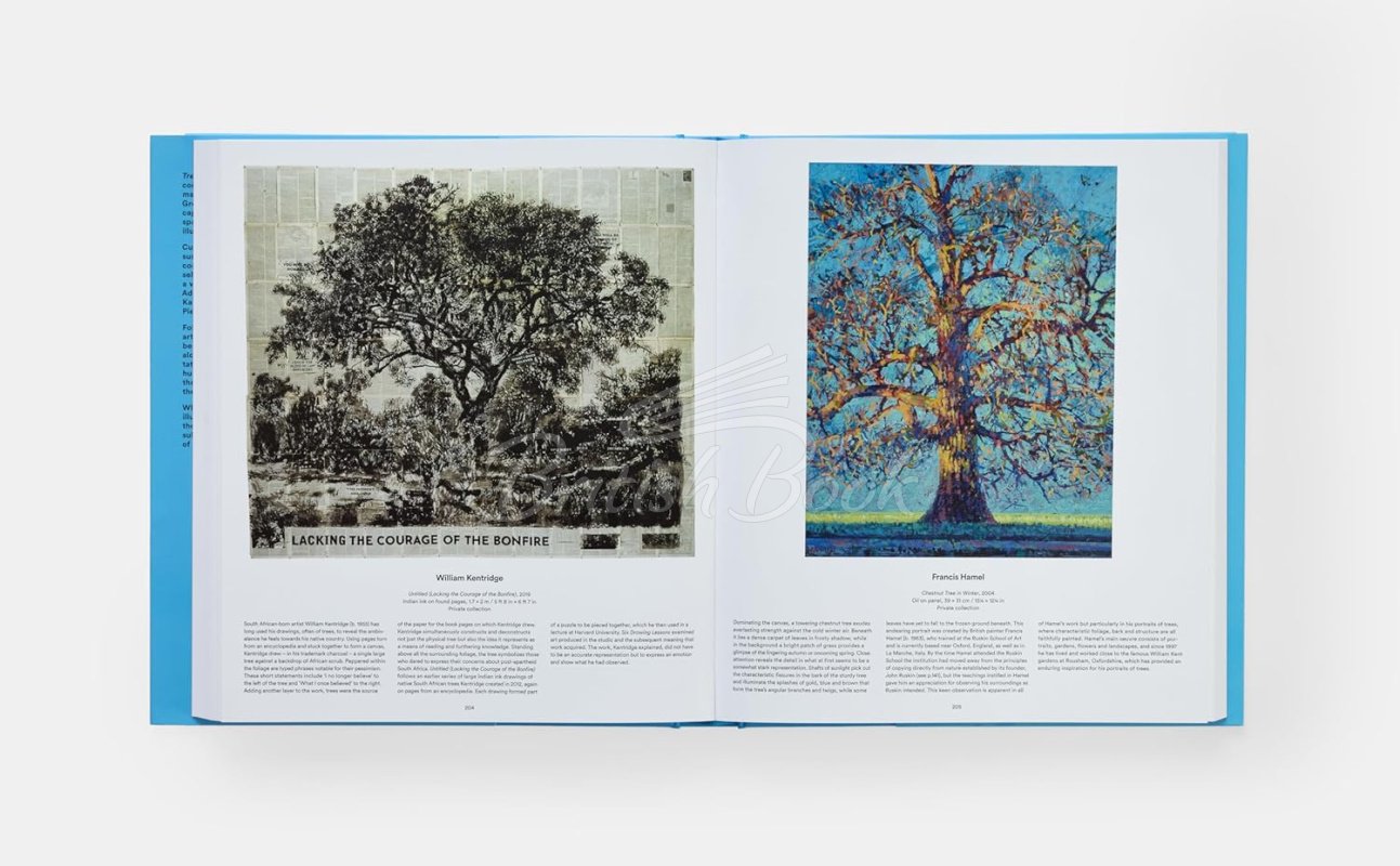 Книга Tree: Exploring the Arboreal World зображення 8