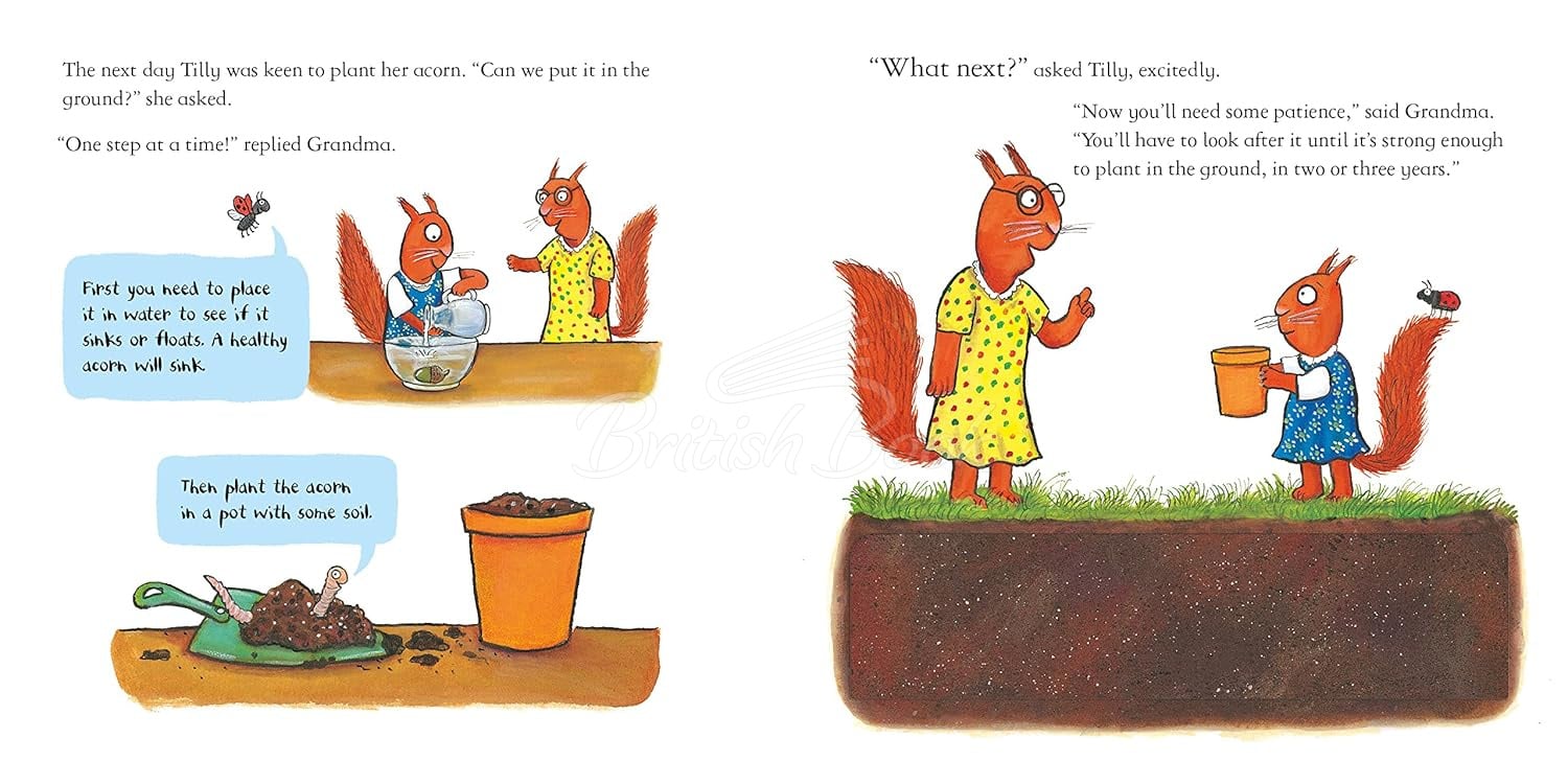 Книга National Trust: Tilly Plants a Tree зображення 4