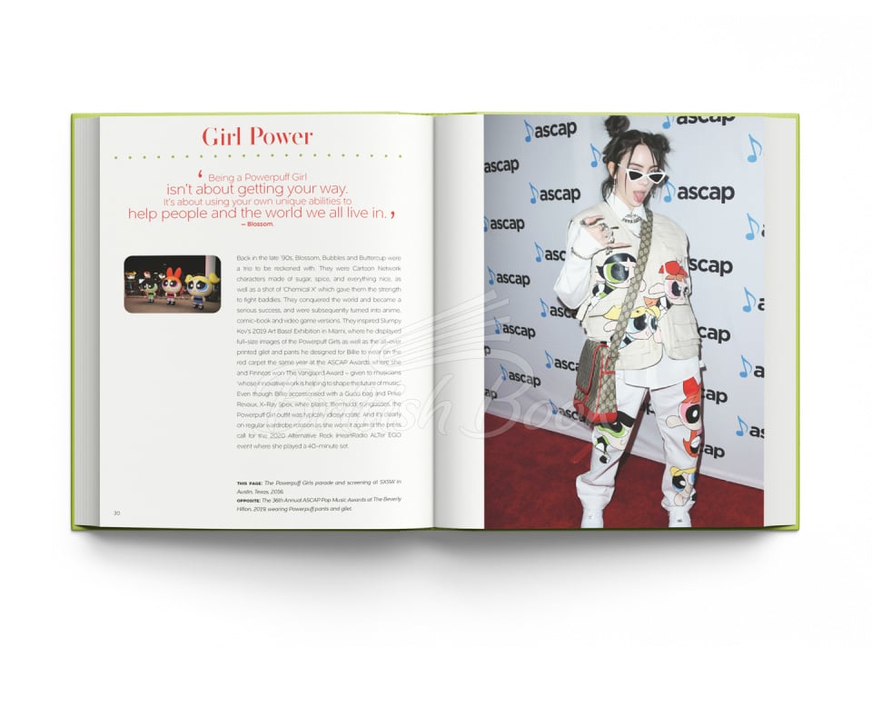 Книга Billie Eilish and the Clothes She Wears изображение 1