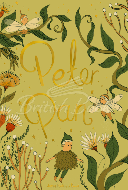 Книга Peter Pan изображение