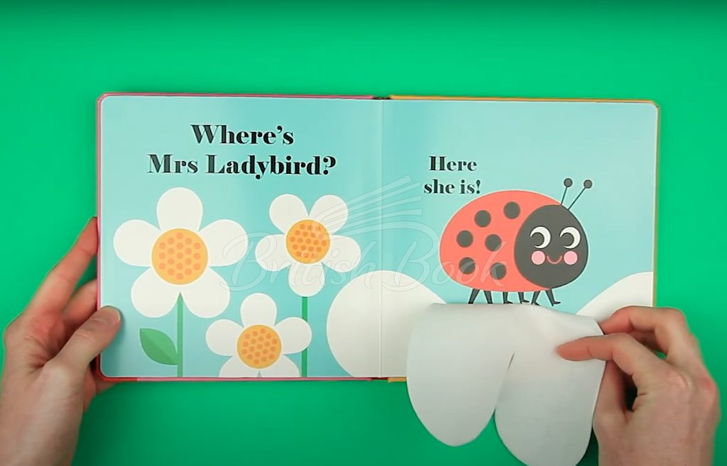 Книга Where's Mrs Ladybird? зображення 10