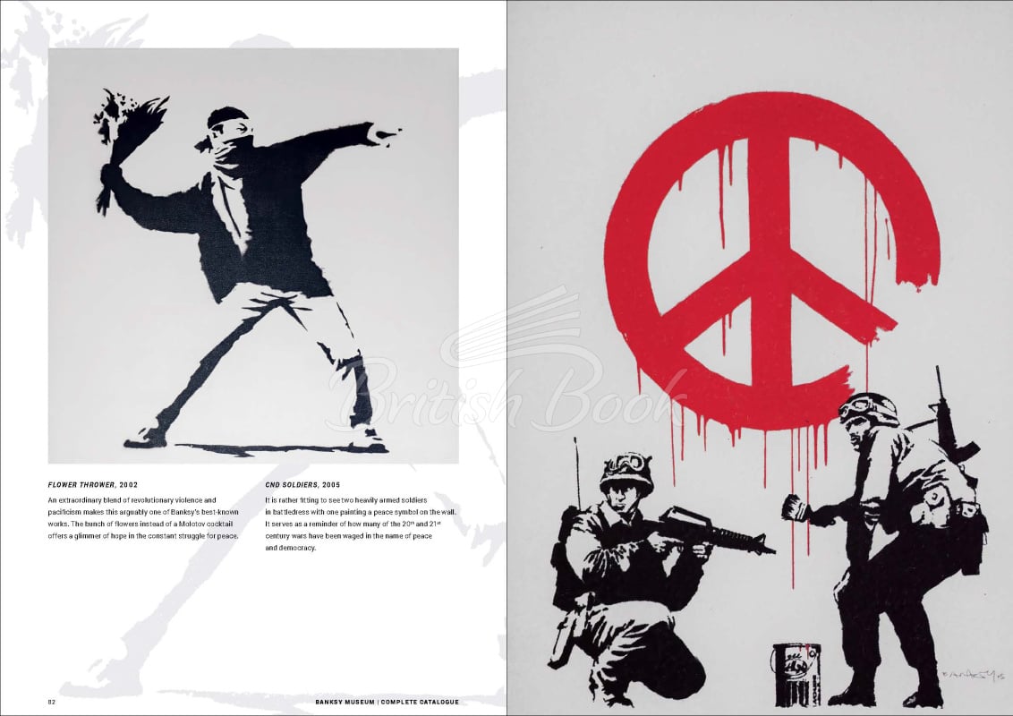 Книга Banksy Museum зображення 2