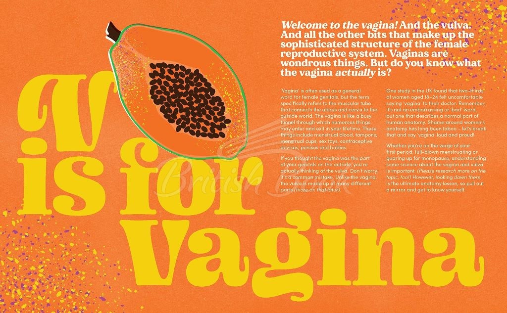 Книга The Penis Book/The Vagina Book: An Owner's Guide изображение 3
