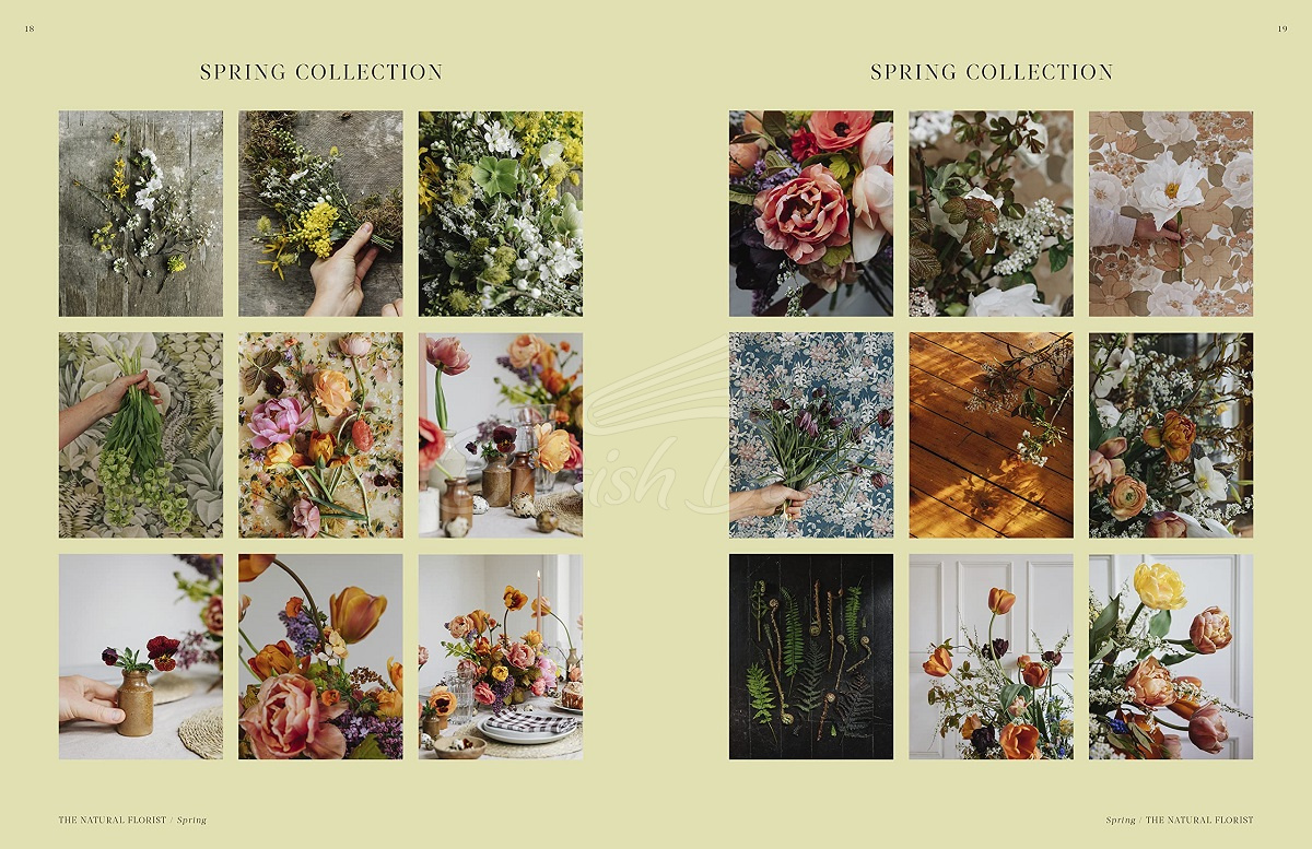 Книга Flower Philosophy зображення 3