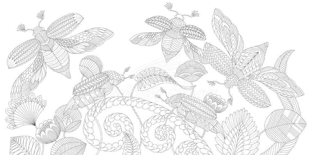 Книга Millie Marotta's Curious Creatures Pocket Colouring зображення 1