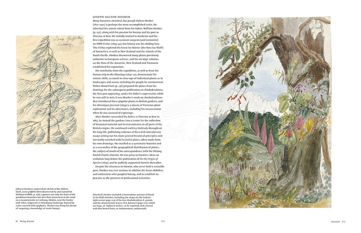 Книга Botanical Sketchbooks изображение 8