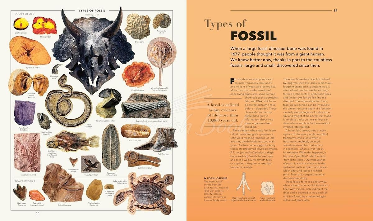 Книга Knowledge: A Visual Compendium изображение 7