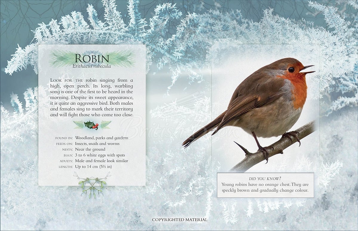 Книга The Little Book of Garden Bird Songs изображение 1