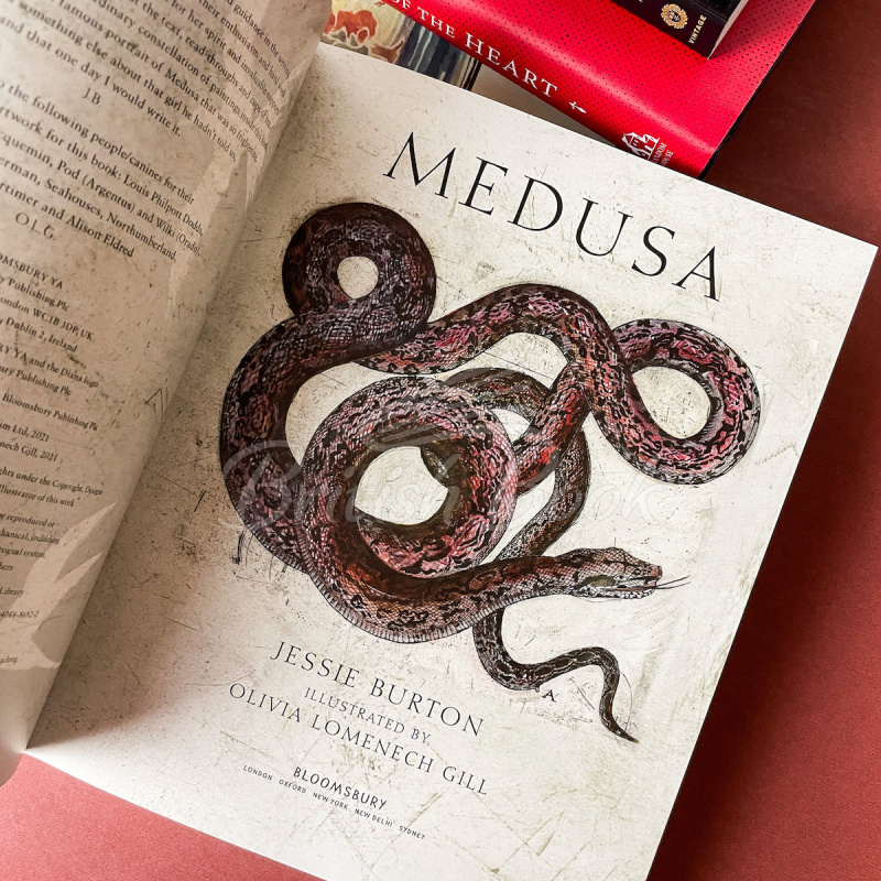 Книга Medusa (Illustrated Gift Edition) изображение 2