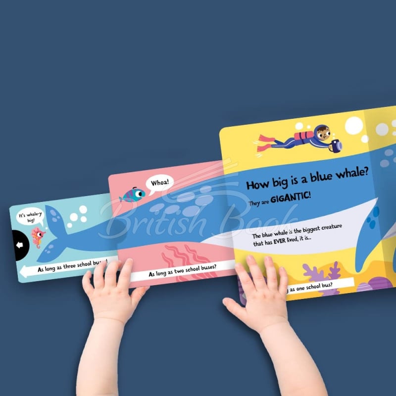 Книга Slide + Seek: How Wide is a Whale? изображение 1