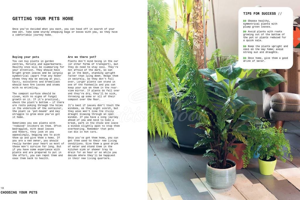 Книга Grow Your Own Pet Plants изображение 1