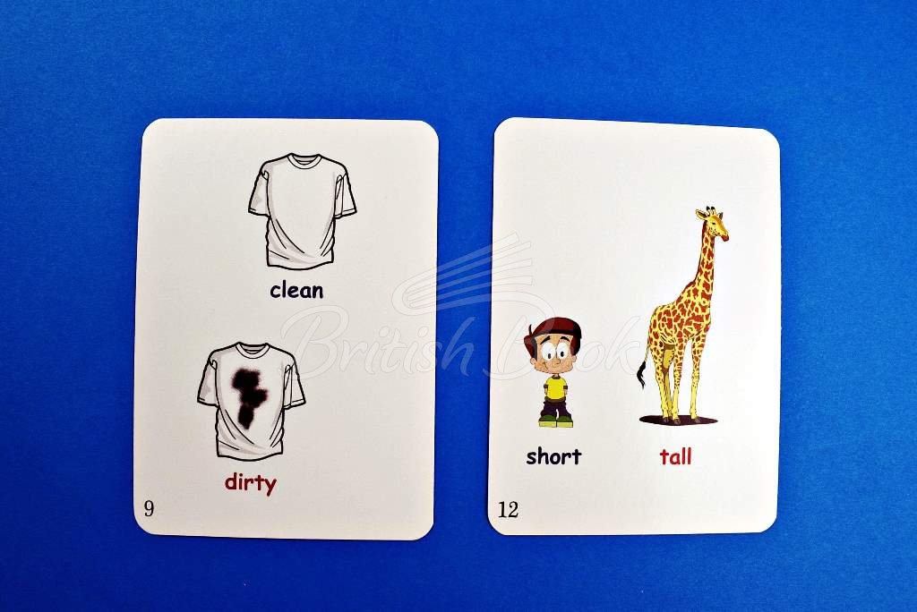 Карточки Fun Card English: XXL English My First 600 Words изображение 2