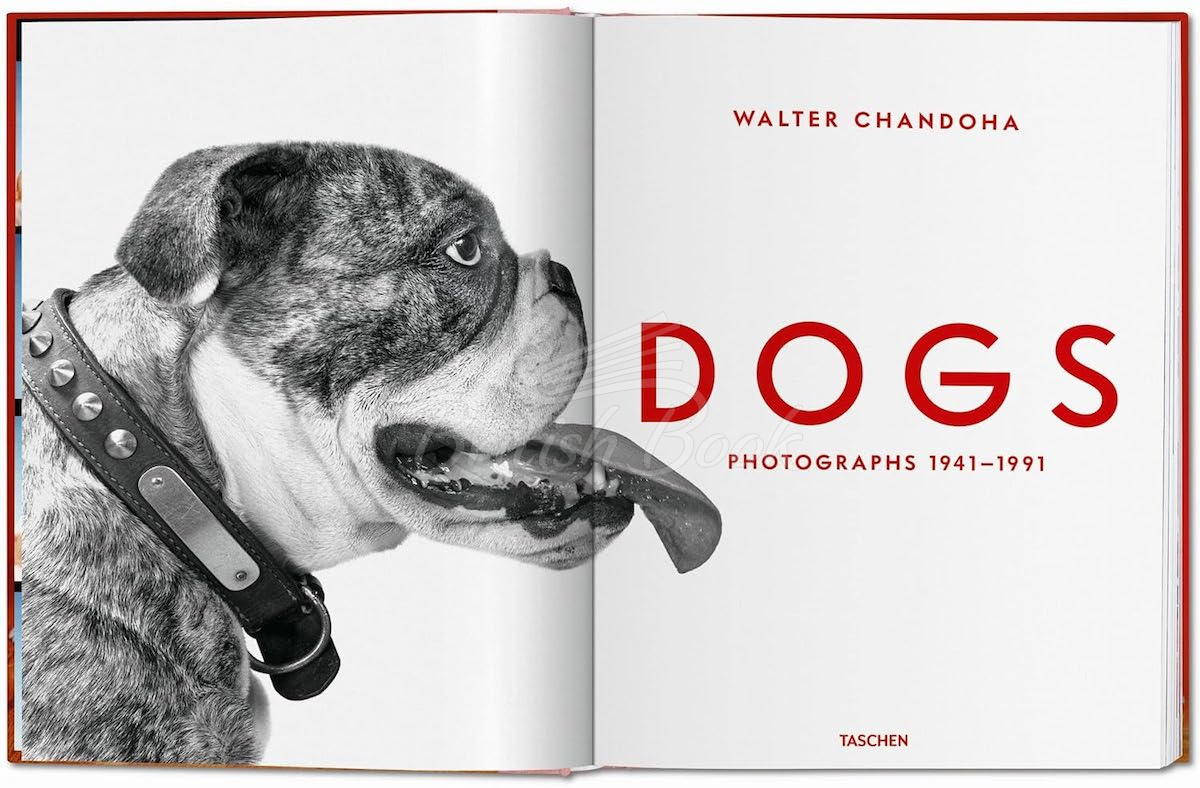 Книга Walter Chandoha. Dogs. Photographs 1941–1991 изображение 1