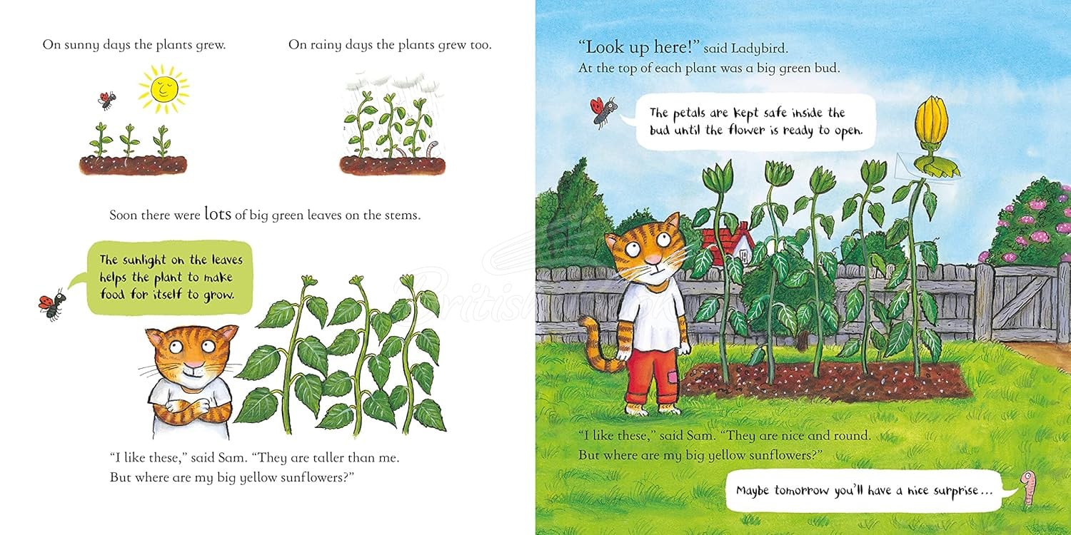 Книга National Trust: Sam Plants a Sunflower зображення 4