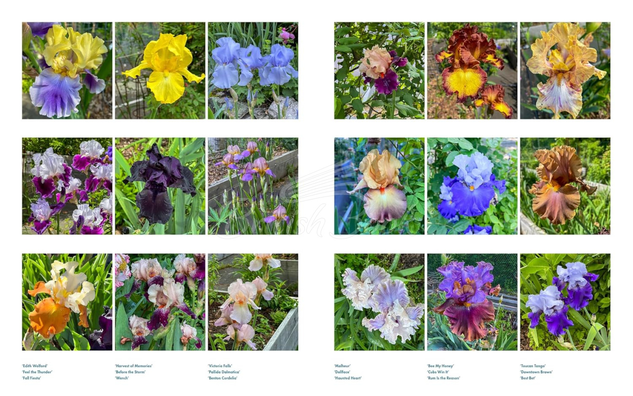 Книга Life with Flowers: Inspiration and Lessons from the Garden зображення 2