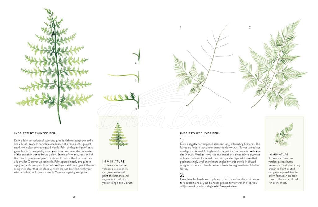 Книга New Botanical Painting изображение 3