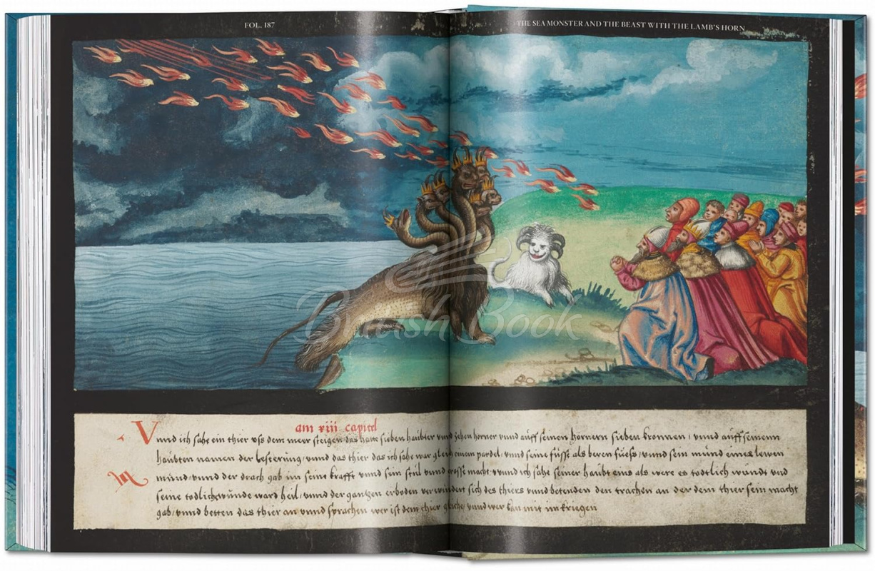 Книга The Book of Miracles зображення 9