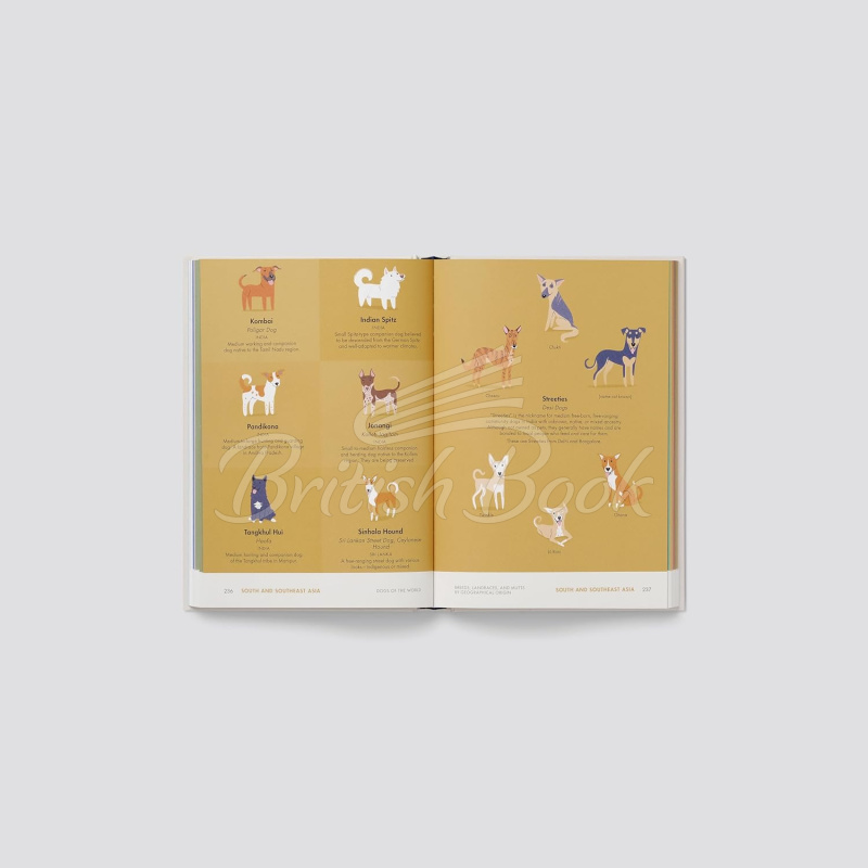 Книга Dogs of the World: An Illustrated Compendium изображение 3