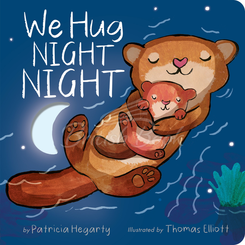 Книга We Hug Night Night зображення