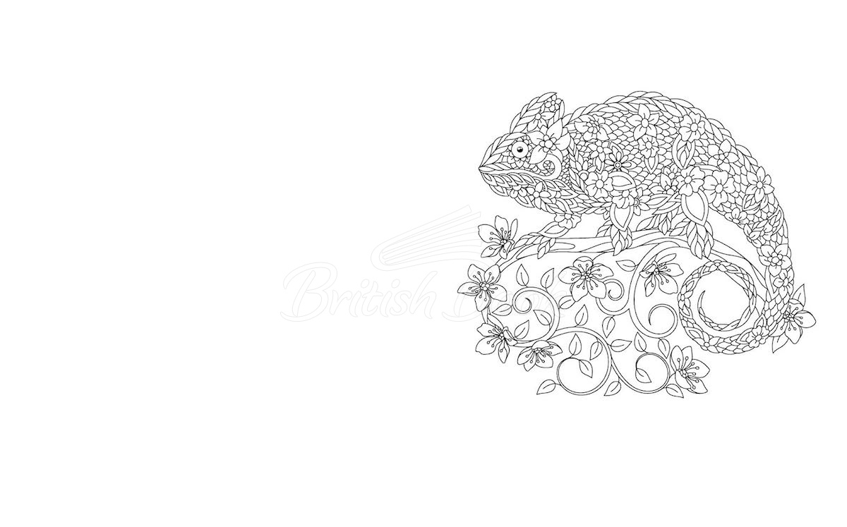 Книга Beautiful Animals Colouring Book зображення 1