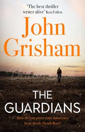 Книга The Guardians изображение