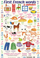First French Words and Alphabet Poster