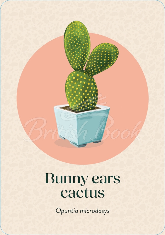 Картки Pocket Plantcare зображення 3