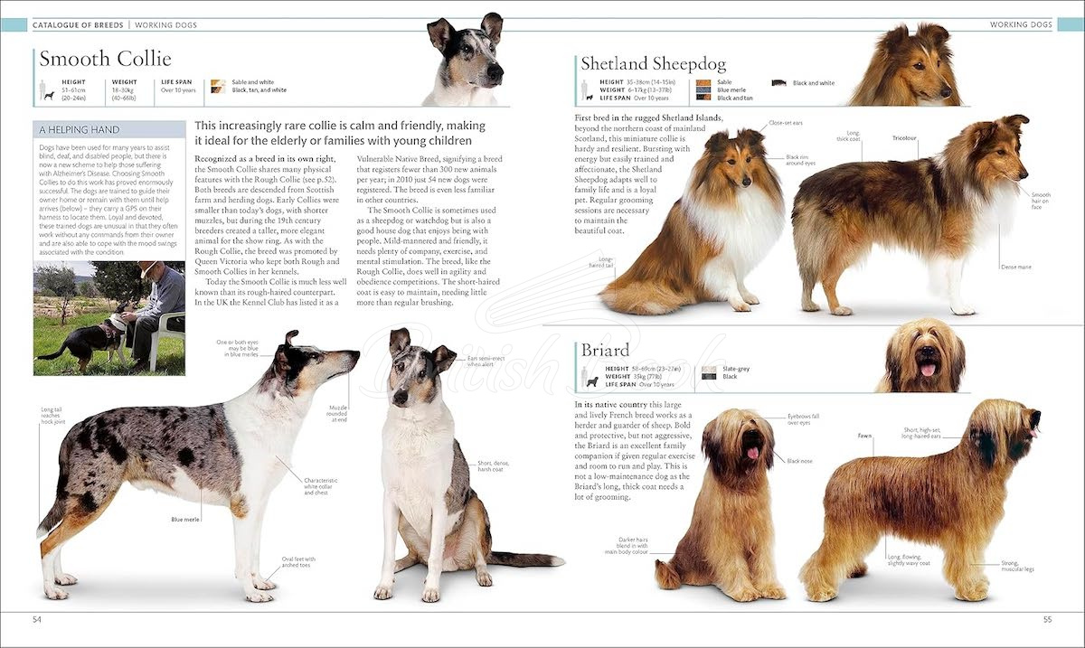 Книга The Dog Encyclopedia изображение 3