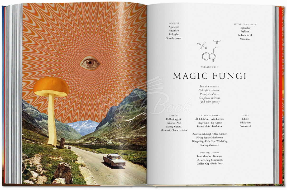 Книга Plant Magick. The Library of Esoterica зображення 9