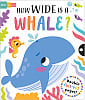 Slide + Seek: How Wide is a Whale?