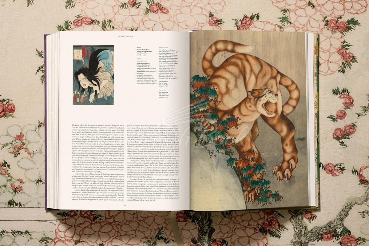 Книга Hokusai изображение 28