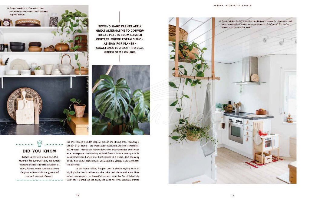 Книга Urban Jungle: Living and Styling with Plants зображення 7