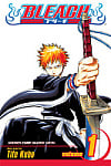 Bleach Vol. 1