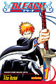 Bleach Vol. 1